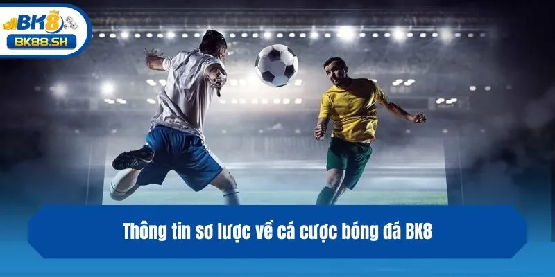 Thông tin sơ lược về cá độ bóng đá BK8